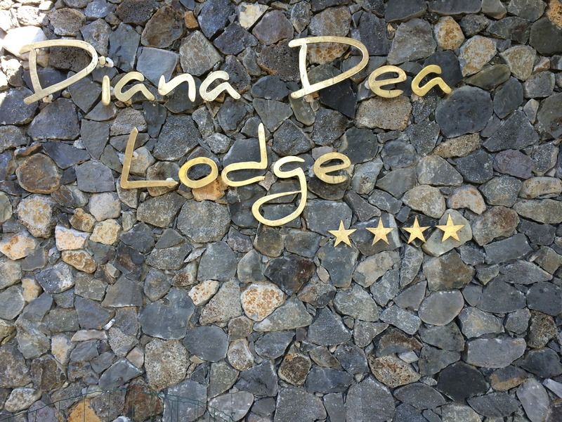 Hotel Diana Dea Lodge & Spa Сент-Ан Экстерьер фото